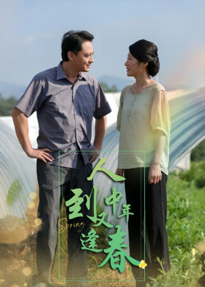 人到中年又逢春海報