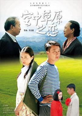 空中草原之恋(2010)海报