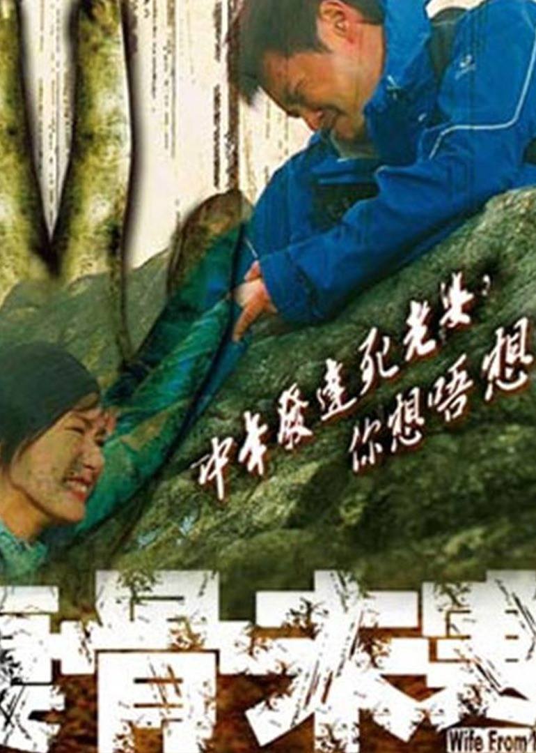 一念之错(2006)海报