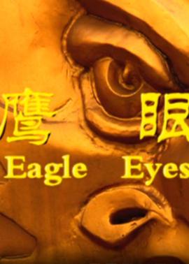 鹰眼2009(2009)海报