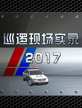巡邏現場實錄2017(2017)海報