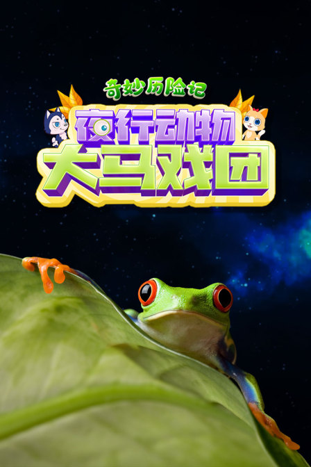 奇妙历险记:夜行动物大马戏团(2025)海报