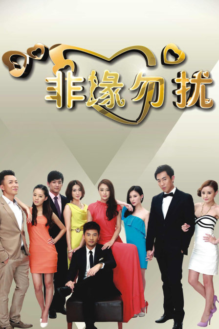 非緣勿擾DVD版(2013)海報