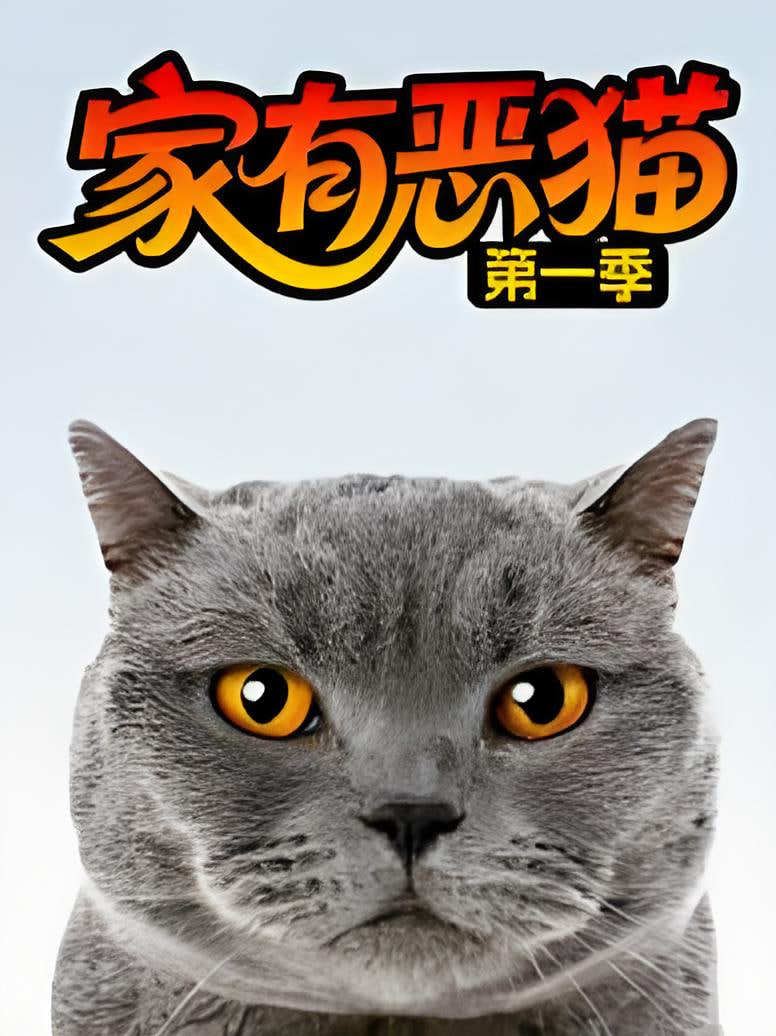 家有惡貓 第一季(2011)海報