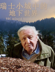 瑞士小城中的地下世界(2021)海報