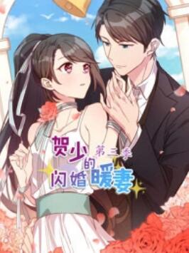贺少的闪婚暖妻 动态漫第三季(2021)海报