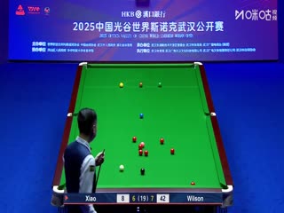 2025斯諾克武漢公開賽決賽 肖國棟10-9加里·威爾遜(第二階段)(秦正、蔡劍忠)(50幀原畫) 20250830海報