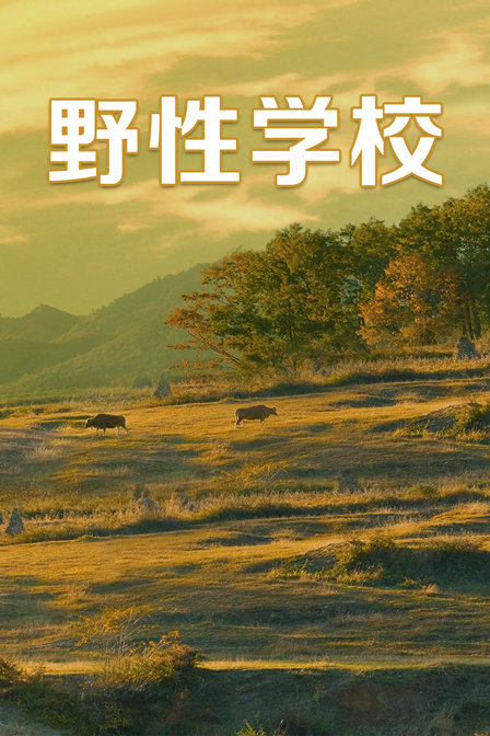 野性學校(2019)海報