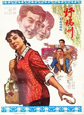 野鴨洲(1979)海報