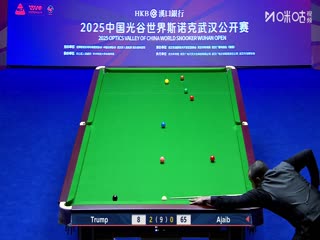 2025斯諾克武漢公開賽延期資格賽及64進32 賈德·特魯姆普5-1法拉赫·阿賈布 20250824海報