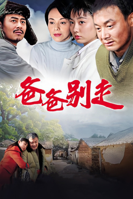 爸爸別走(2011)海報