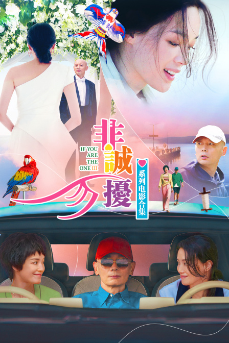 非诚勿扰系列电影合集(2026)海报