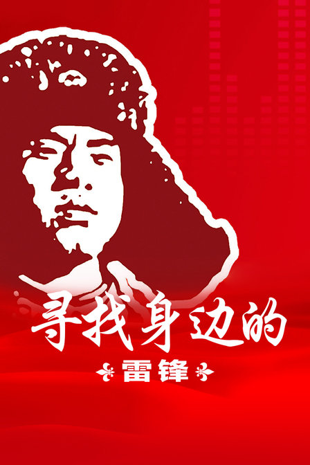 寻找身边的雷锋(2012)海报