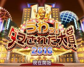 整人大賞2018年末SP3個半小時(2018)海報