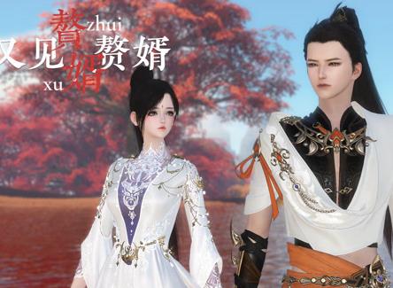 赘婿又见赘婿(2024)海报