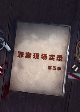 罪案現場實錄第五季(2019)海報