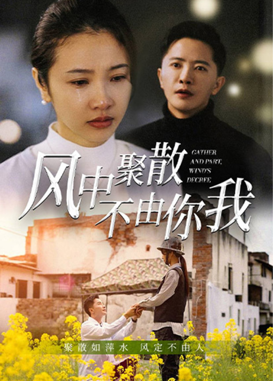 风中聚散不由你我海报