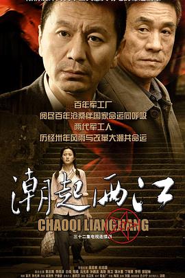 潮起两江(2009)海报