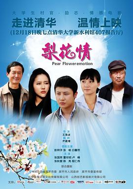 梨花情(2012)海报