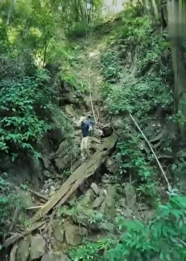 荒野求生專欄海報