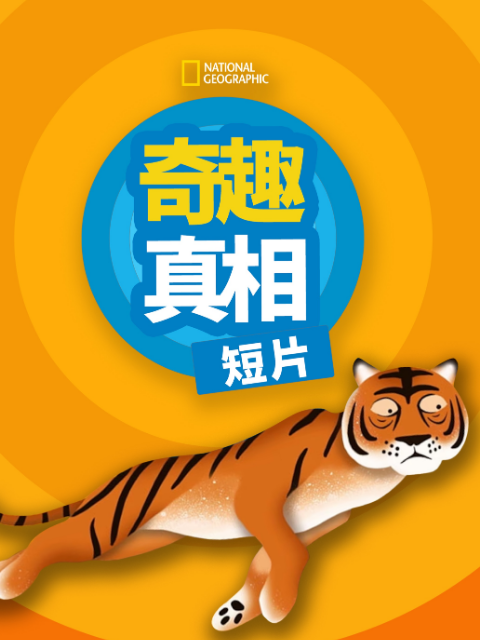 奇趣真相 短片第一季(2026)海報
