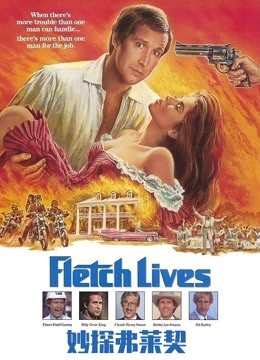 妙探弗萊契(1989)海報