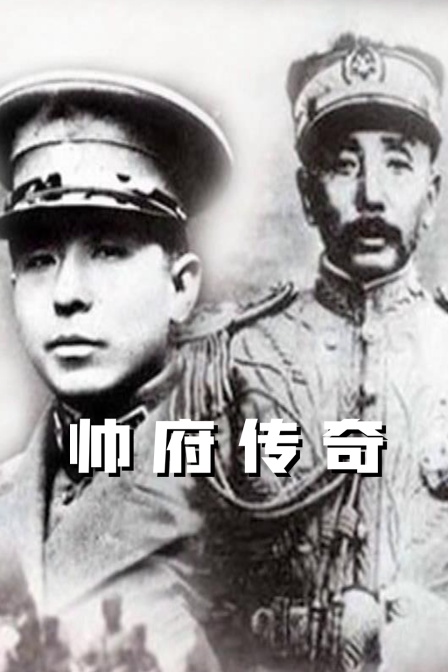 帅府传奇(2022)海报