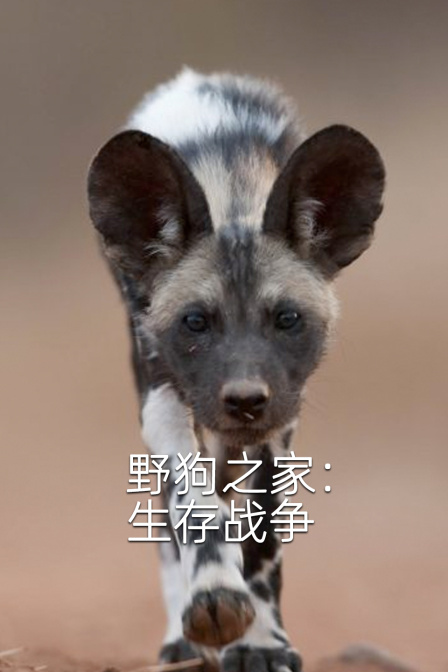 野狗之家:生存戰爭(2024)海報
