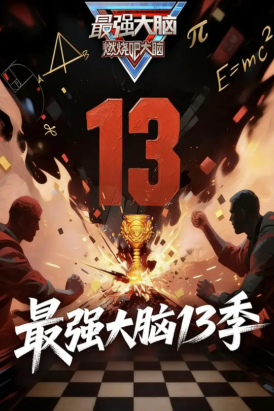 最强大脑第13季(2014)海报