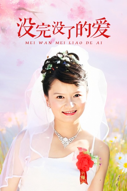 沒完沒了的愛(2009)海報