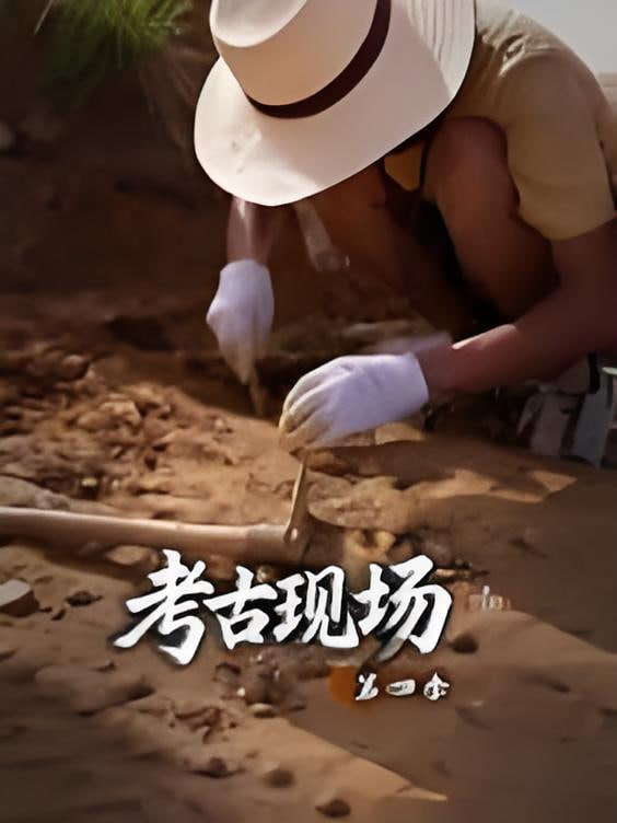X档案·考古现场第四季(2026)海报