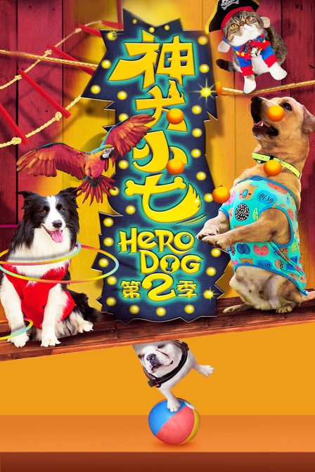 神犬小七第二季(2016)海报