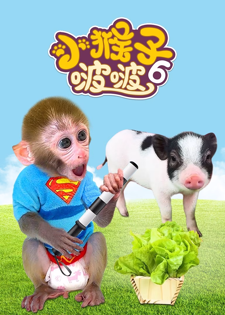 小猴子啵啵第六季(2024)海报