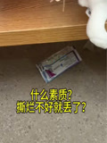 風箏愛玩具的2026年合集(2026)海報