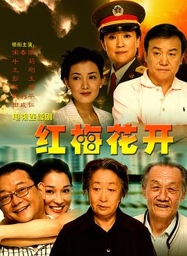 紅梅花開(2007)海報