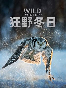 狂野冬日第一季(2024)海报