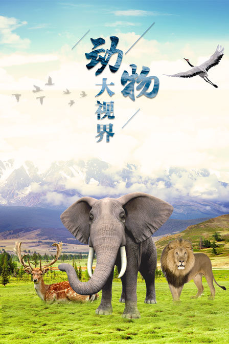 動物大視界(2019)海報