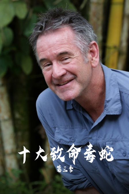 十大致命毒蛇第三季(2025)海报