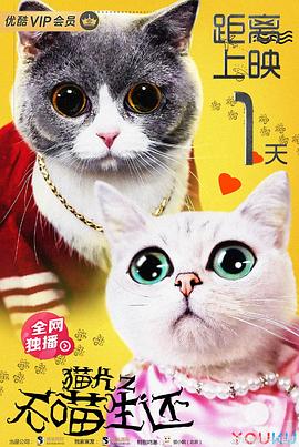 猫片之无喵生还(2019)海报