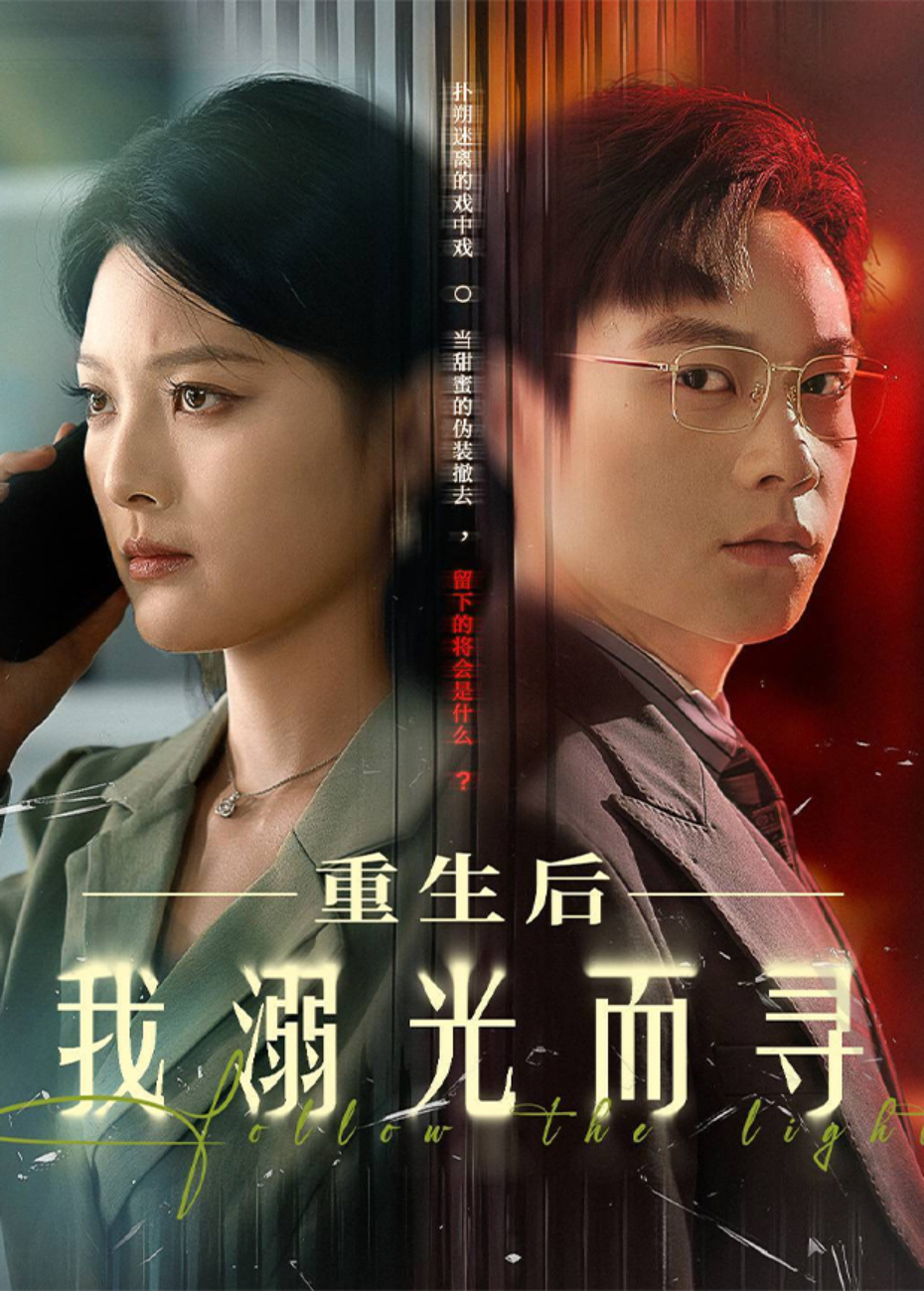 重生后我溺光而寻海报