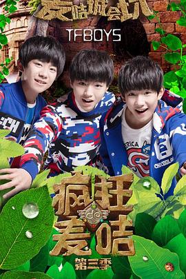 疯狂的麦咭第三季(2014)海报