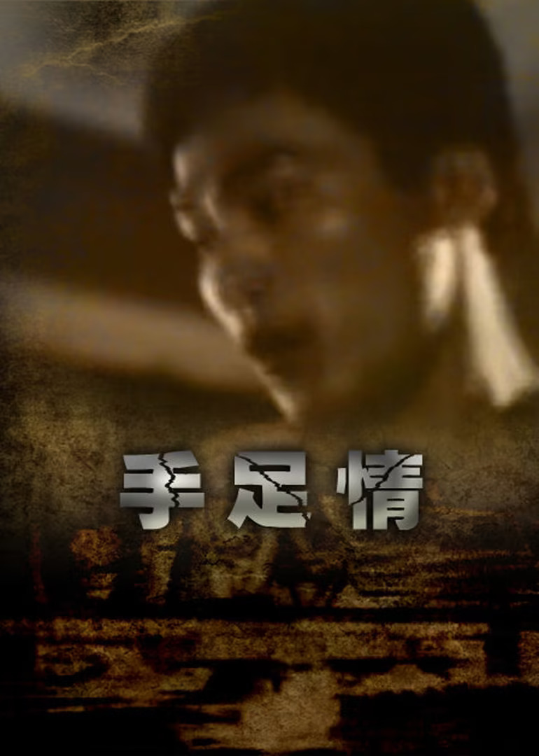 手足情1988(1988)海報