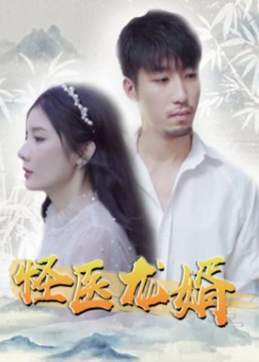 怪医龙婿海报