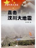 直击汶川大地震(2012)海报