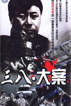 瀋陽三八大案偵破紀實(2009)海報