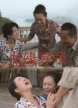 血緣尋親(2010)海報