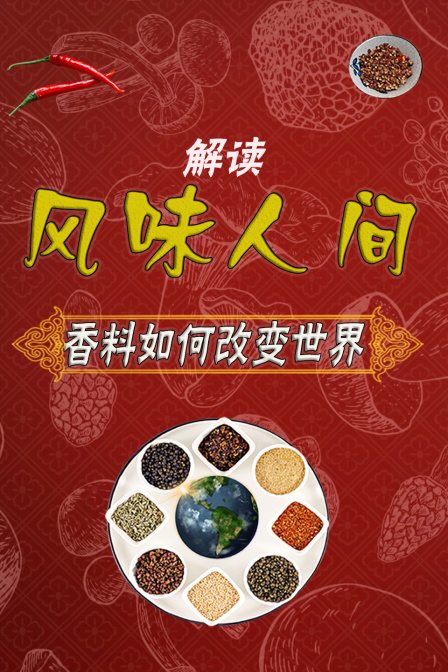 解讀《風味人間》:香料如何改變世界(2024)海報