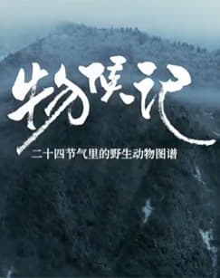 ​物候記​(2025)海報