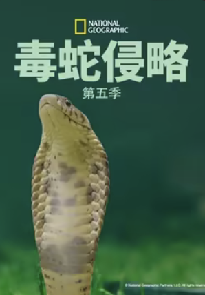 毒蛇侵略第五季(2014)海报