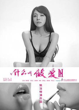 什么叫做爱2(2014)海报